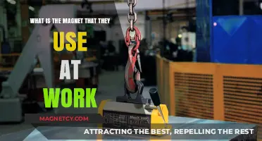 Understanding the Powerful Workplace Magnet: Its Uses and Applications