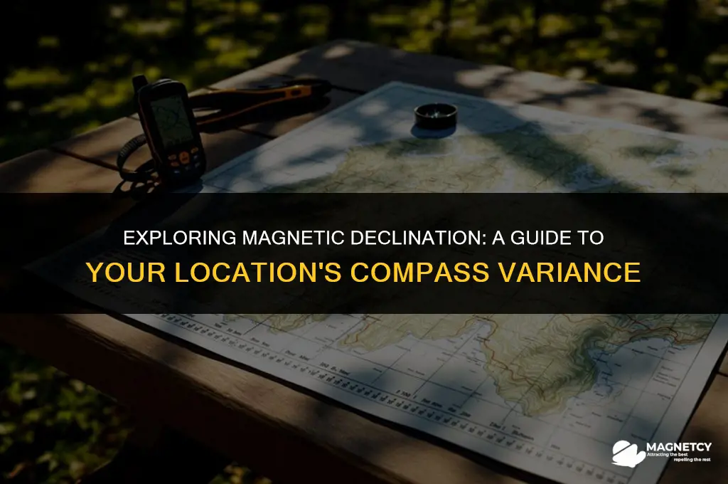 what is the magnetic declination for my location