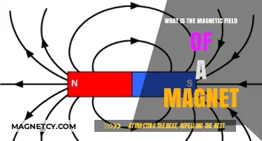 Exploring the Invisible Force: Understanding a Magnet's Magnetic Field
