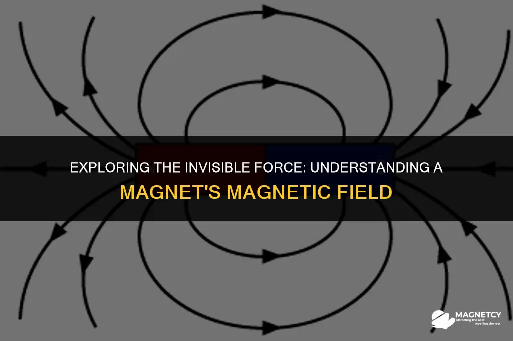 what is the magnetic field of a magnet