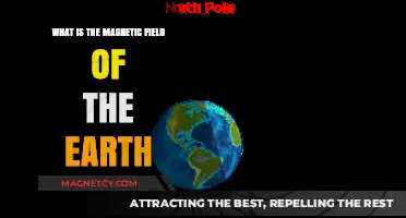 Exploring Earth's Invisible Shield: The Magnetic Field