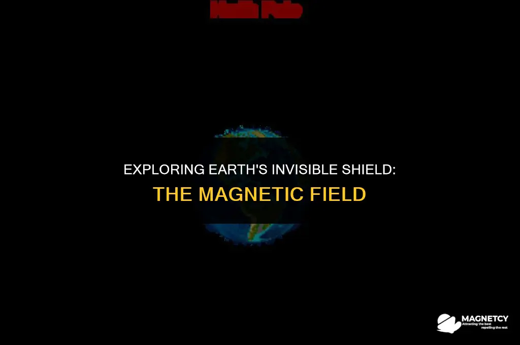 what is the magnetic field of the earth