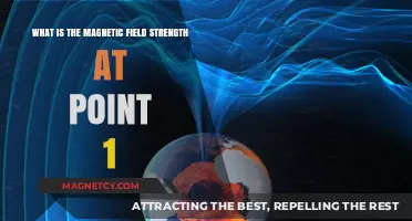 Exploring Magnetic Fields: Strength at Point 1 Revealed