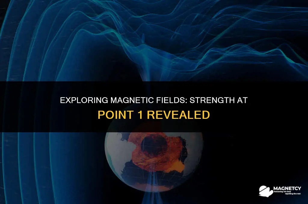 what is the magnetic field strength at point 1