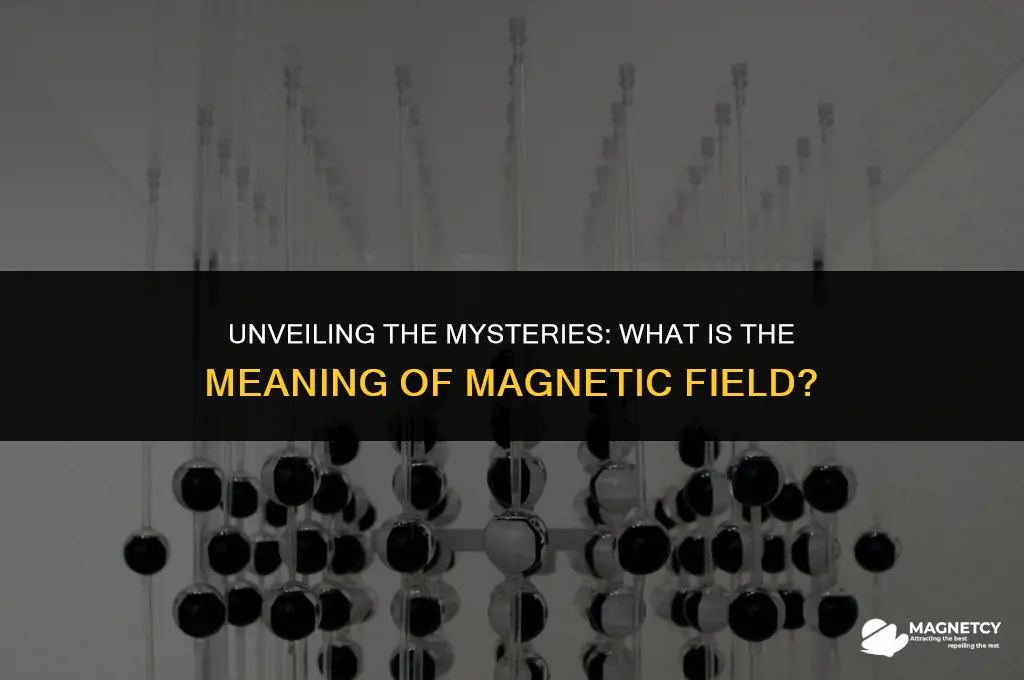 what is the meaning of magnetic field