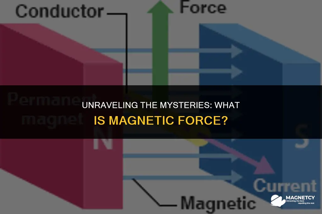 what is the meaning of magnetic force