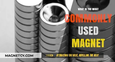 Exploring the Most Commonly Used Magnet in Everyday Applications
