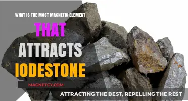 Unveiling the Strongest Magnetic Element That Attracts Lodestone Naturally