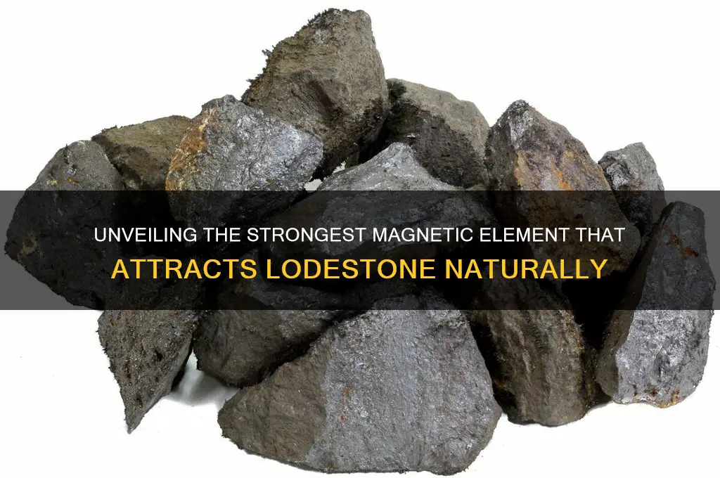 what is the most magnetic element that attracts iodestone
