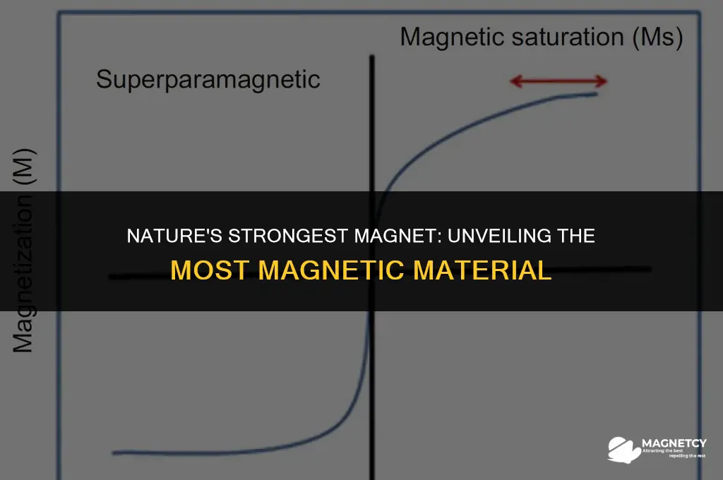 what is the most magnetic material in nature