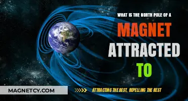 Magnetic North Pole: What It Attracts and Why It Matters
