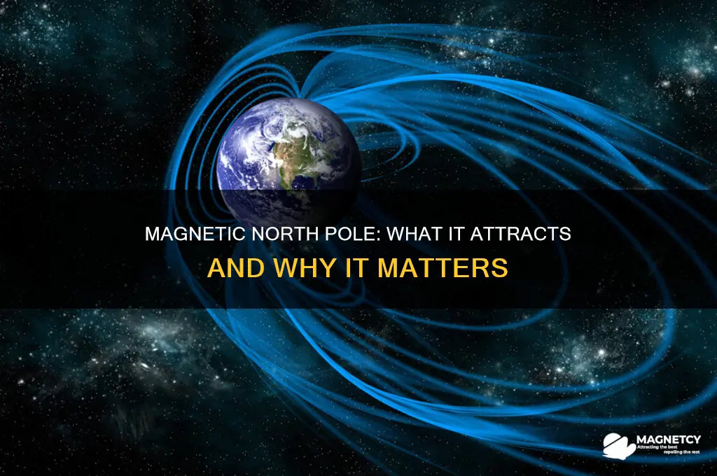 what is the north pole of a magnet attracted to