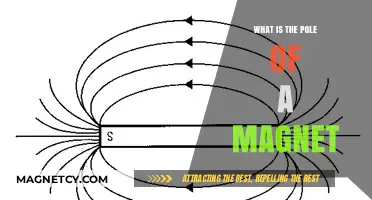 Exploring Magnetism: Understanding the Fundamentals of Magnetic Poles