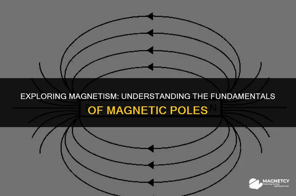 what is the pole of a magnet