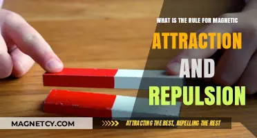 Understanding Magnetic Attraction and Repulsion: The Fundamental Rules Explained