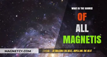 Unveiling the Cosmic Origins of Magnetism: A Scientific Odyssey