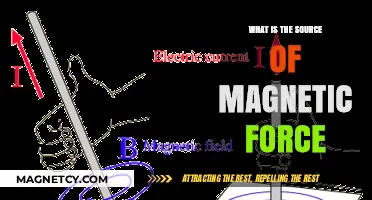 Unveiling the Mysteries: The Origin of Magnetic Force Explained
