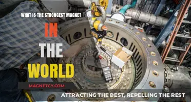 Unveiling the Powerhouse: The World's Strongest Magnet Revealed