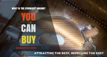 Discover the Most Powerful Commercial Magnet Available for Purchase Today
