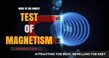 Unlocking Magnetism's Secrets: The Ultimate Test Revealed