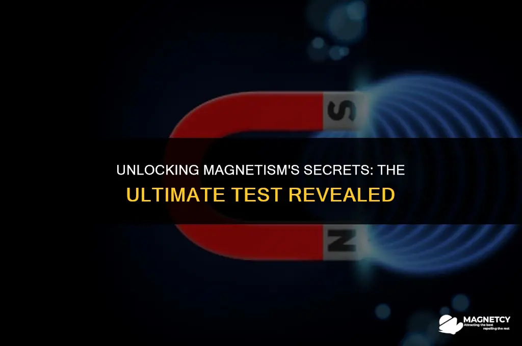 what is the surest test of magnetism