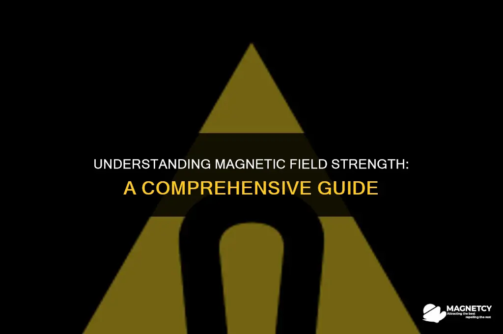 what is the symbol for magnetic field strength