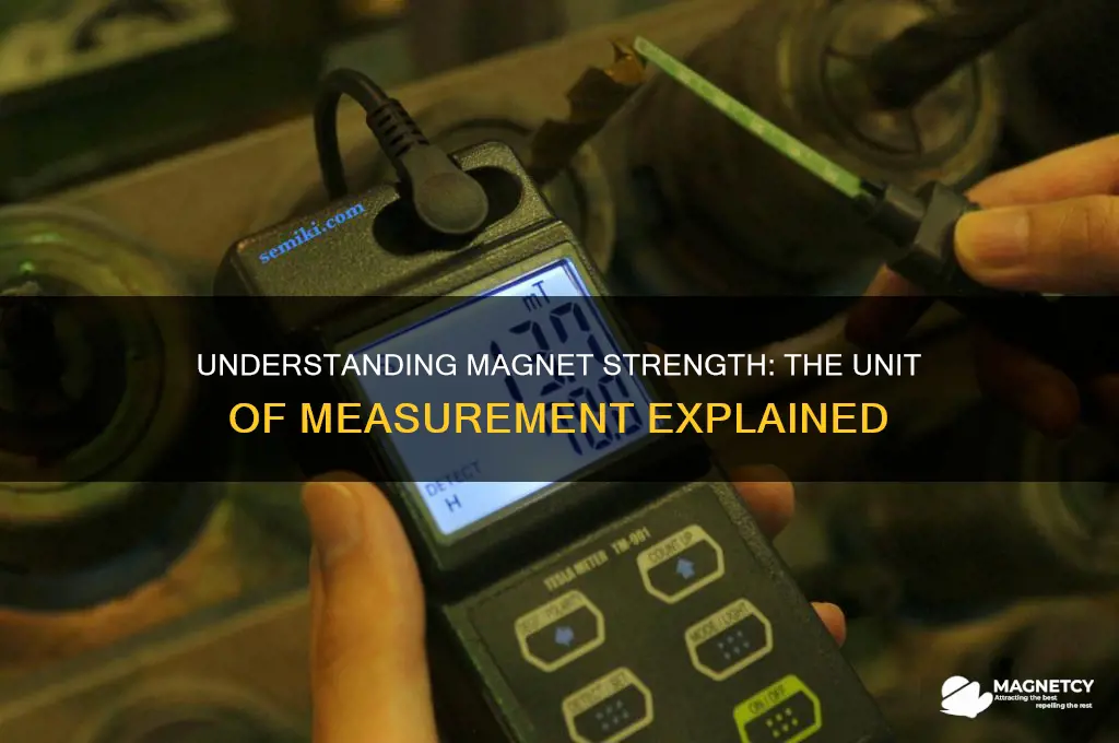 what is the unit used to measure magnets