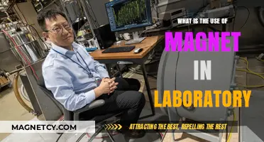 Magnets in Labs: Essential Tools for Scientific Research and Experiments