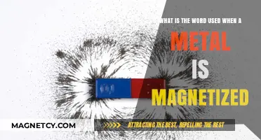 Understanding Magnetization: The Term for When Metals Become Magnetic