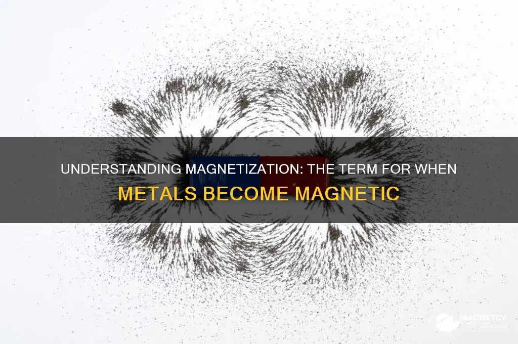 what is the word used when a metal is magnetized