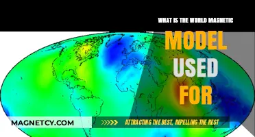 Understanding the World Magnetic Model: Applications and Importance
