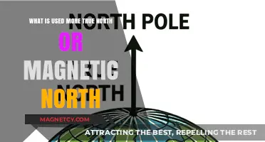 True North vs. Magnetic North: Which Direction is More Utilized?
