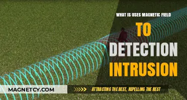 Magnetic Field Intrusion Detection: How It Works and Its Applications