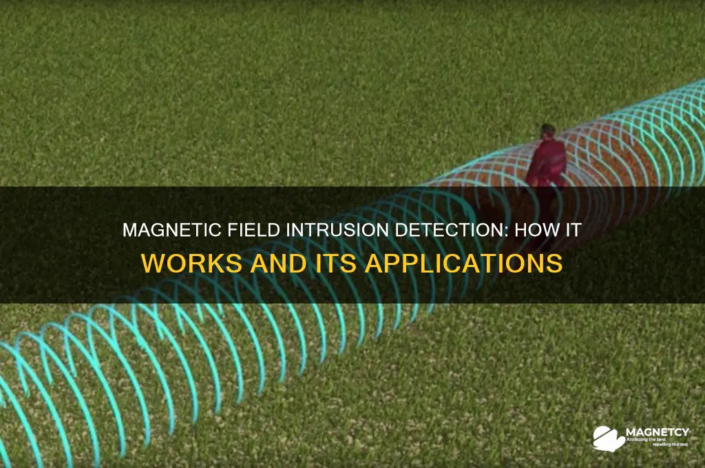 what is uses magnetic field to detection intrusion