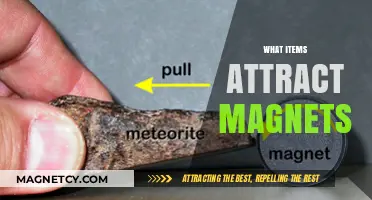 Magnetic Materials: Discovering What Items Attract Magnets Easily