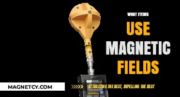 Exploring Magnetic Fields: Everyday Items That Rely on Magnetism