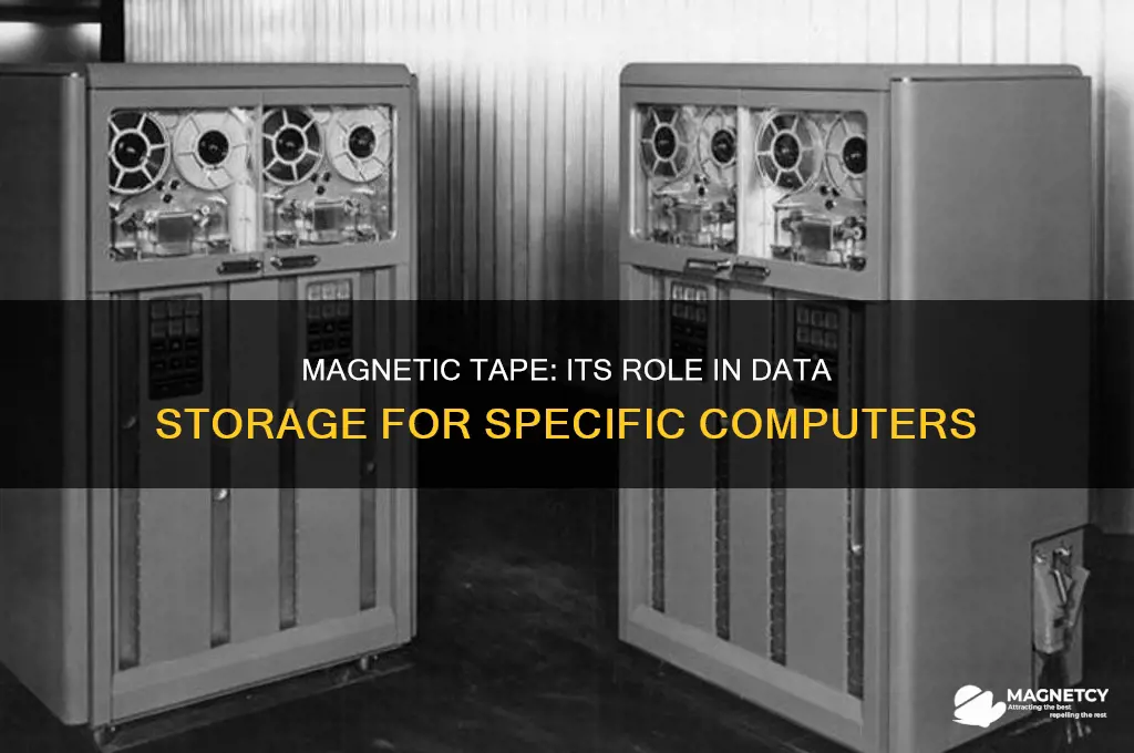 what kind of computer is magnetic tape usually used for