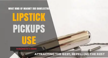 Dano Lipstick Pickups: Unveiling the Magnet Mystery Inside