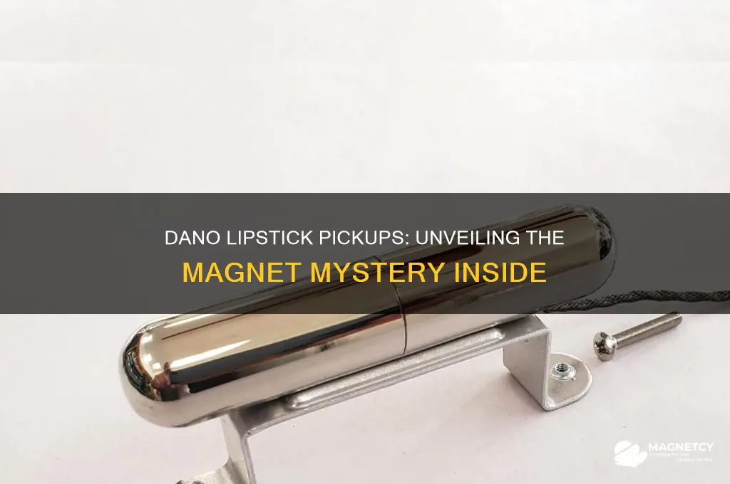 what kind of magnet did danelectro lipstick pickups use