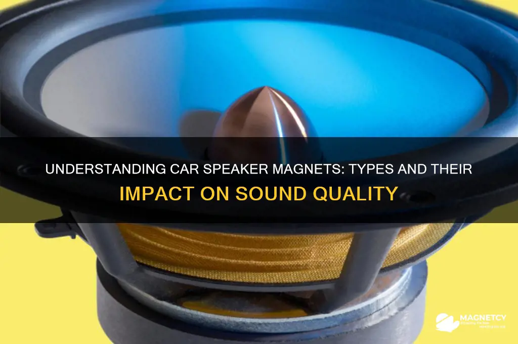 what kind of magnet does a car speaker use