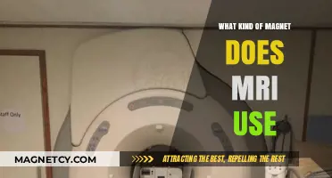 Understanding MRI Magnets: Types and Strengths Used in Medical Imaging