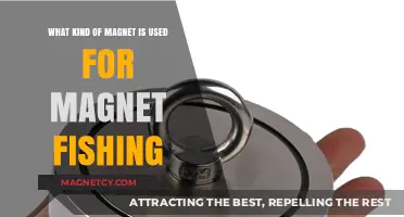 Best Magnets for Magnet Fishing: Types, Strengths, and Uses Explained