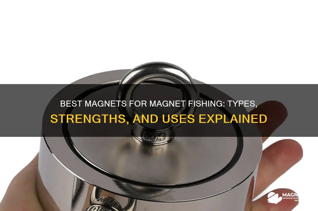 what kind of magnet is used for magnet fishing