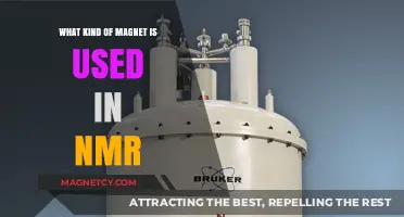Understanding the Role of Superconducting Magnets in NMR Technology