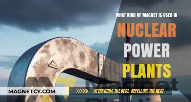 Magnets in Nuclear Power: Types and Applications Explained