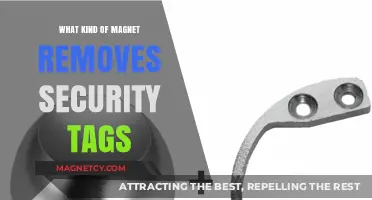 Decoding Security: The Ultimate Guide to Magnet Types for Tag Removal
