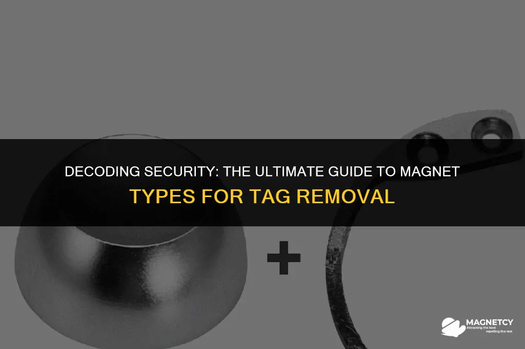 what kind of magnet removes security tags