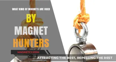 Magnet Hunting Essentials: Types of Magnets Used by Enthusiasts