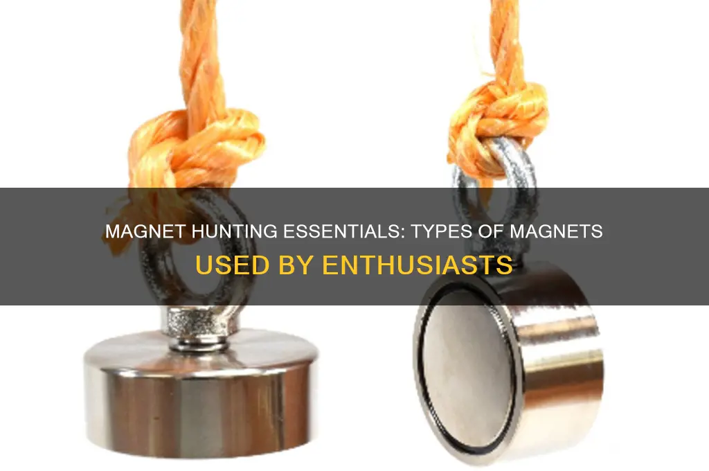 what kind of magnets are used by magnet hunters