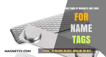 Choosing the Right Magnets for Secure and Practical Name Tags
